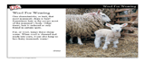 Characteristics of Mammals Mini-Lesson -- Powerpoint Slideshow