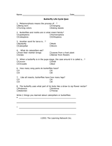 Butterfly Life Cycle Quiz