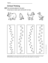 Numbers to 12 and Graphing: Critical Thinking (Gr. 1)
