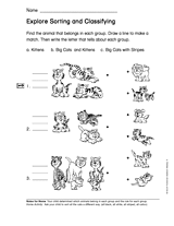 Explore Sorting and Classifying (Gr. 1)