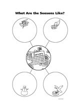 What Are the Seasons Like?