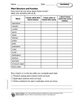 Plant Structure and Function: Vocabulary