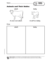 Explore Activity: Animals and Their Babies