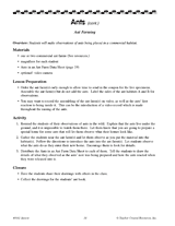 Ant Farming Observations