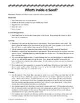 What's Inside a Seed?