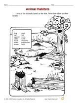 Animal Habitats II