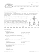 Health Reading Warm-Up: Lungs