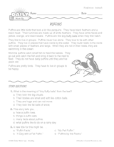 Nonfiction Reading Warm-Up: Puffins