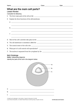 What Are the Main Cell Parts?