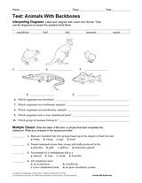 Life Science Test: Animals with Backbones