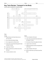 Science Key Term Review: Transport in the Body