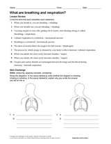 What Are Breathing and Respiration?