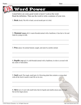Adaptations: Bird Beaks Word Power