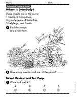 Finding & Counting Insects: Where Is Everybody?